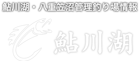 鮎川湖・八重笠沼管理釣り場情報