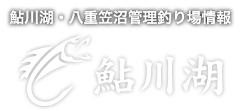 鮎川湖・八重笠沼管理釣り場情報